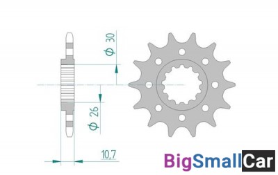 Звезда ведущая AFAM 21804-17 (JTF1579.17)  520 - купить Новопокровской