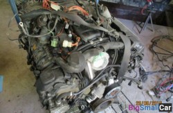 Датчик распредвала n62 4.8 (13 Подготовка и регулир. рабочей смеси) 13627525014 - купить Новопокровской